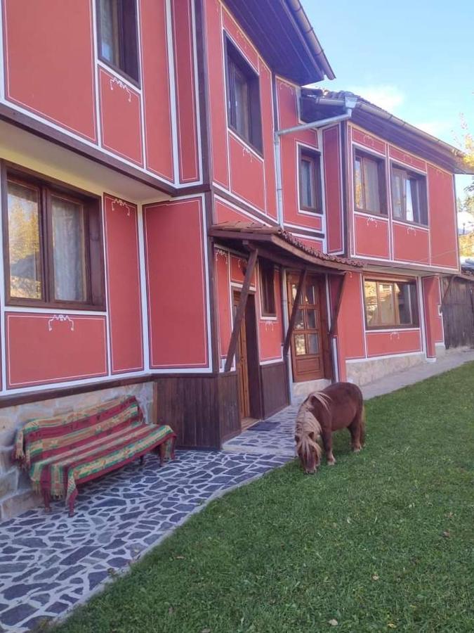 Стаи За Гости Дора Kopriwsztica Zewnętrze zdjęcie